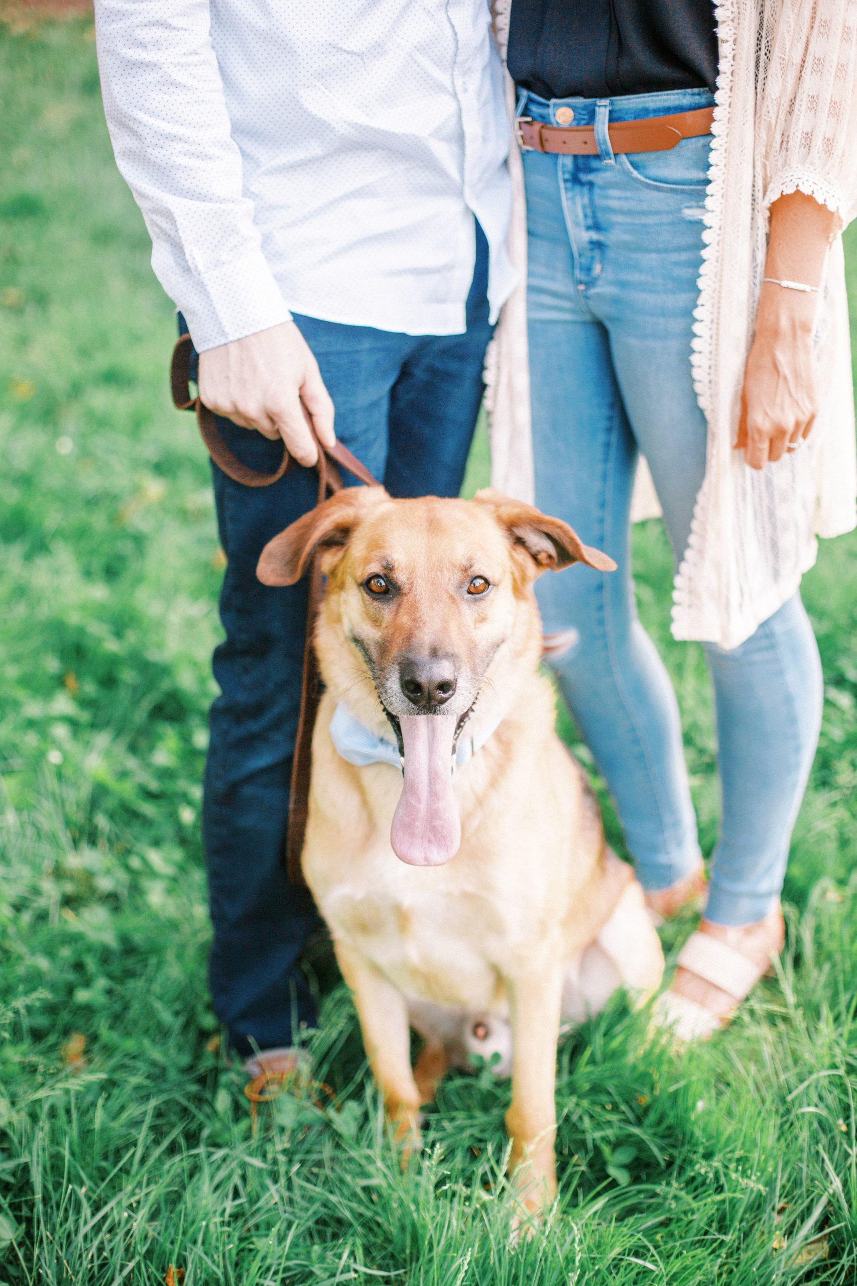 St Louis forest park engagement session with dog